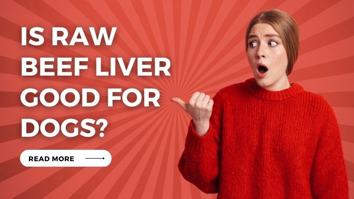 Is raw beef liver Good for Dogs