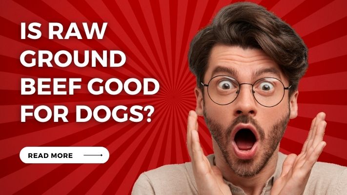 Is raw ground beef Good for Dogs