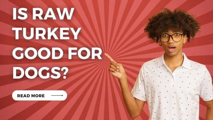 Is Raw Turkey Good for Dogs?