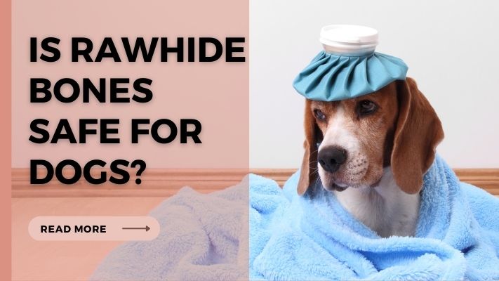 Is rawhide bones Safe for Dogs