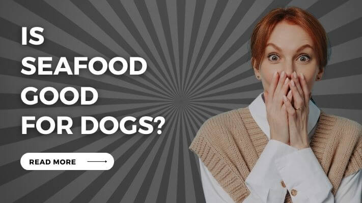 Is seafood Good for Dogs