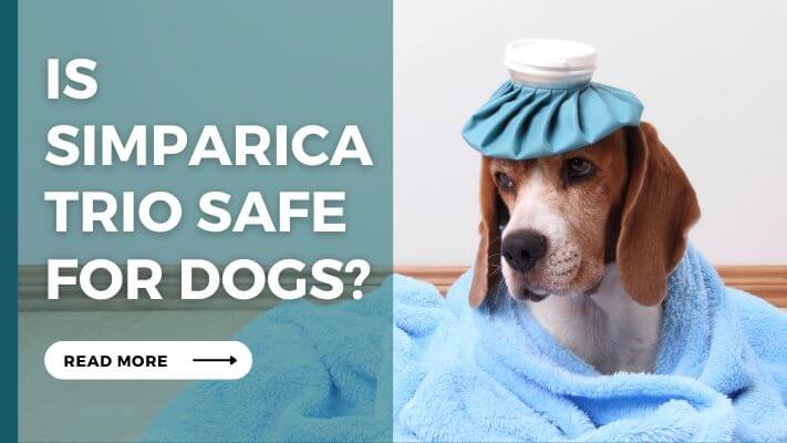 Is Simparica Trio Safe For Dogs