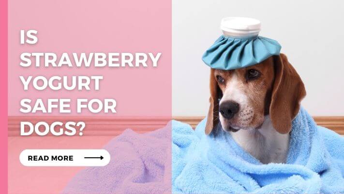 Is Strawberry Yogurt Safe for Dogs