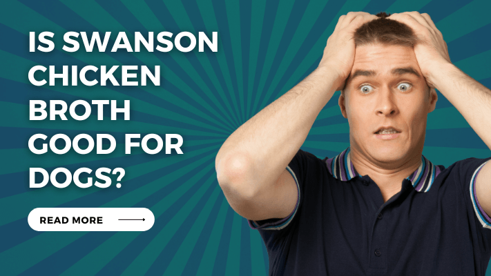 Is Swanson Chicken Broth Good for Dogs