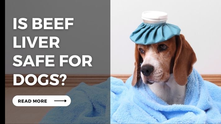 Is beef liver Safe for Dogs