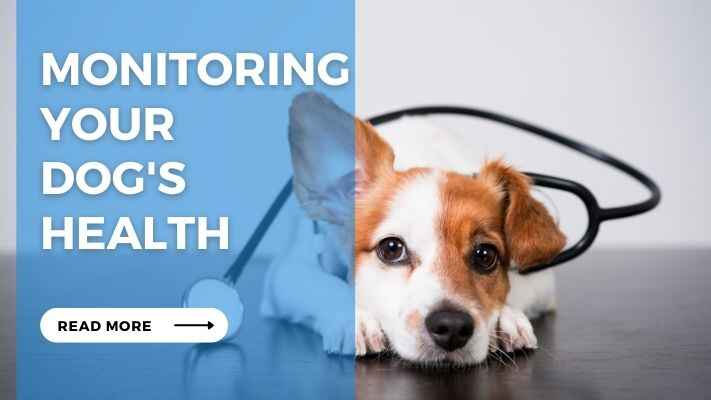 Monitoring Your Dogs Health