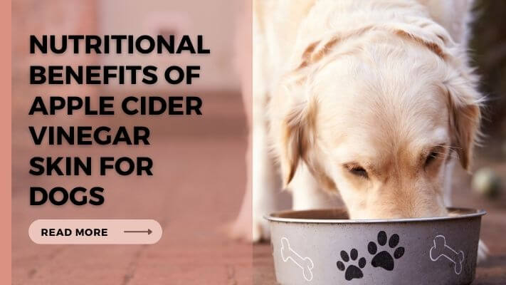 Nutritional Benefits of Apple Cider Vinegar Skin for Dogs