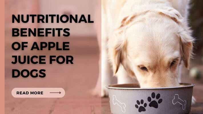 Nutritional Benefits of Apple Juice for Dogs