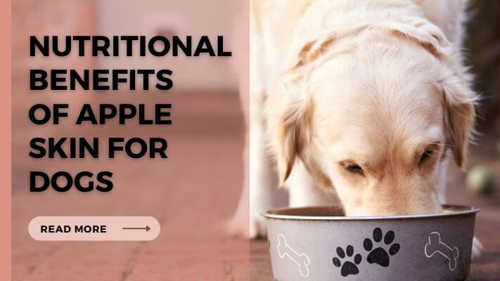 Nutritional Benefits of Apple Skin for Dogs