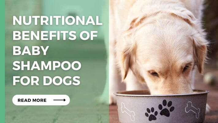 Nutritional Benefits of Baby Shampoo for Dogs