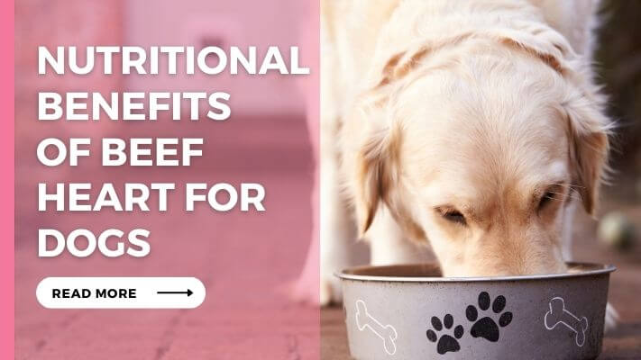 Nutritional Benefits of Beef Heart for Dogs