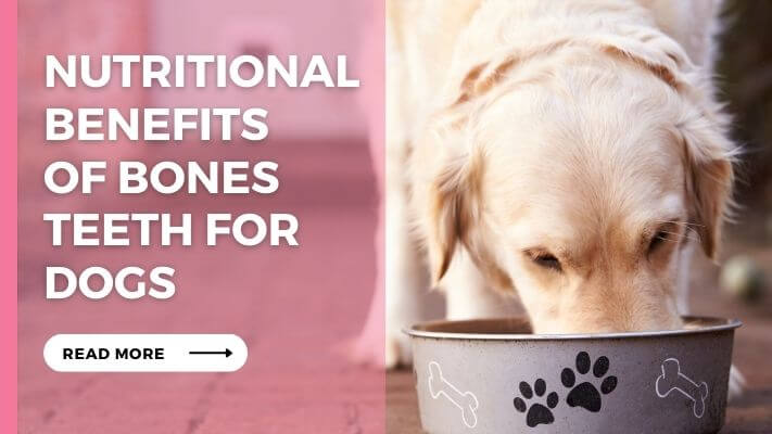 Nutritional Benefits of Bones Teeth for Dogs