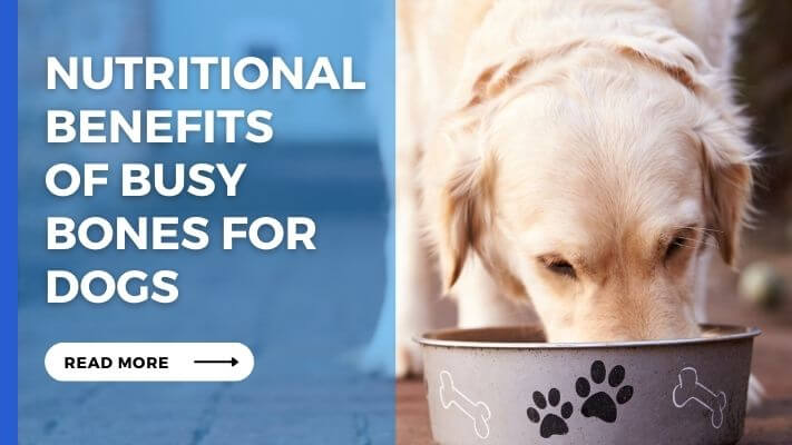 Nutritional Benefits of Busy Bones for Dogs