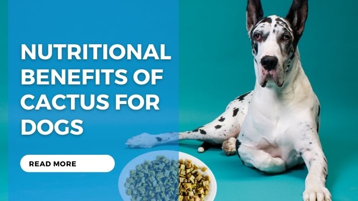 Nutritional Benefits of Cactus for Dogs