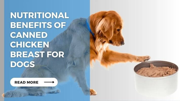 Nutritional Benefits of Canned Chicken Breast for Dogs