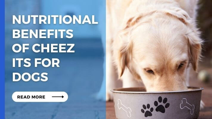 Nutritional Benefits of Cheez Its for Dogs