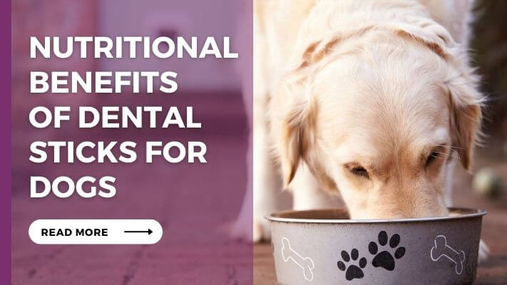 Nutritional-Benefits-of-Dental-Sticks-for-Dogs