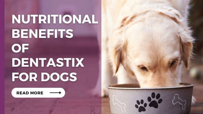 Nutritional-Benefits-of-Dentastix-for-Dogs