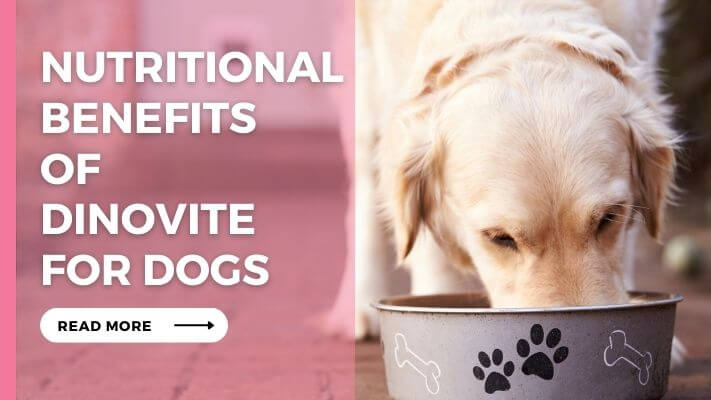 Nutritional Benefits of Dinovite for Dogs