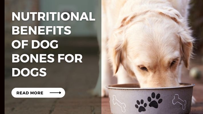 Nutritional Benefits of Dog Bones for Dogs