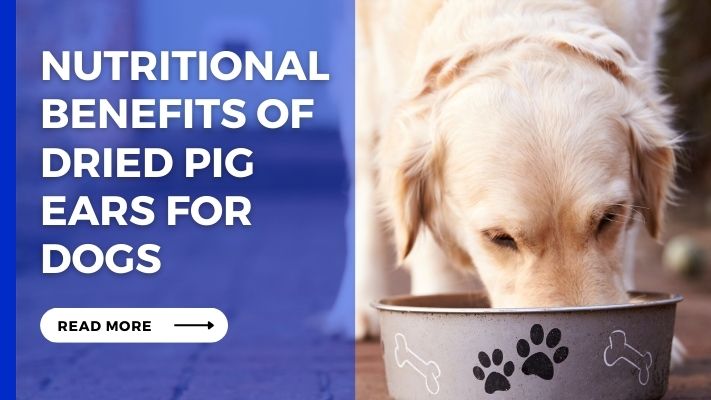 Nutritional Benefits of Dried Pig Ears for Dogs