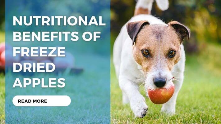 Nutritional Benefits of Freeze Dried Apples