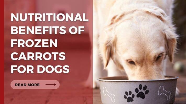 Nutritional Benefits of Frozen Carrots for Dogs