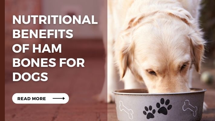 Nutritional Benefits of Ham Bones for Dogs