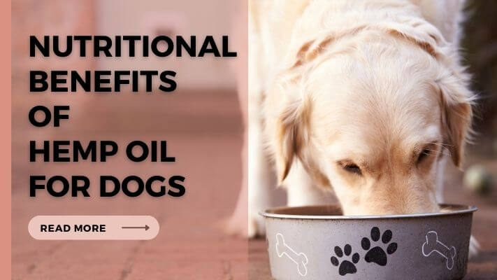 Nutritional-Benefits-of-Hemp-Oil-for-Dogs