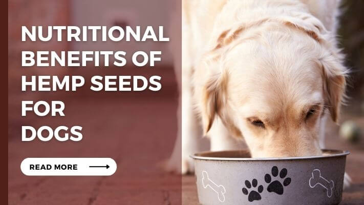 Nutritional Benefits of Hemp Seeds for Dogs