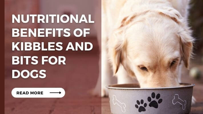 Nutritional Benefits of Kibbles and Bits for Dogs