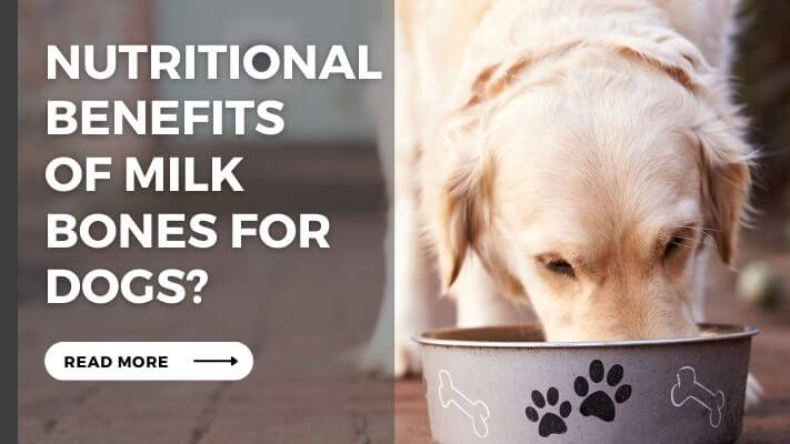 Nutritional Benefits  of Milk Bones for Dogs