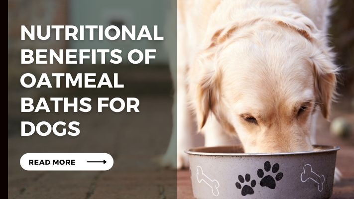 Nutritional Benefits of Oatmeal Baths for Dogs