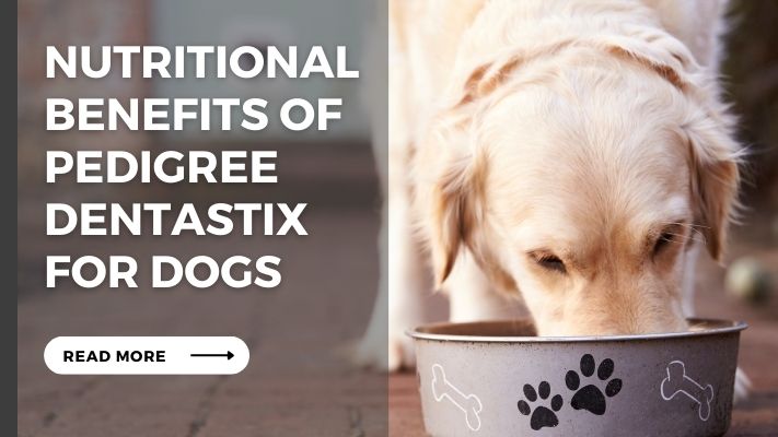 Nutritional Benefits of Pedigree Dentastix for Dogs