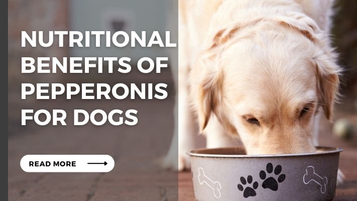 Nutritional Benefits of Pepperonis for Dogs