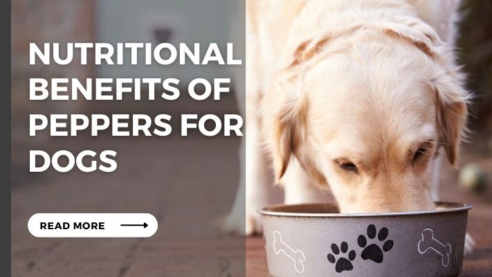 Nutritional Benefits of Peppers for Dogs