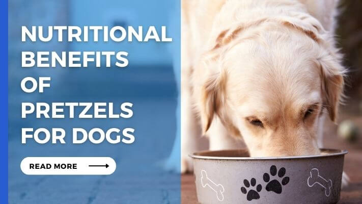 Nutritional Benefits of Pretzels for Dogs