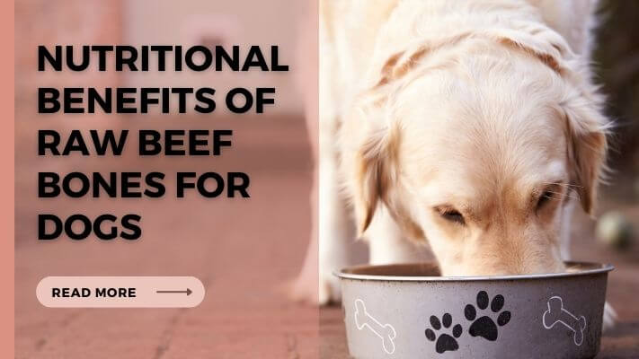 Nutritional Benefits of Raw Beef Bones for Dogs