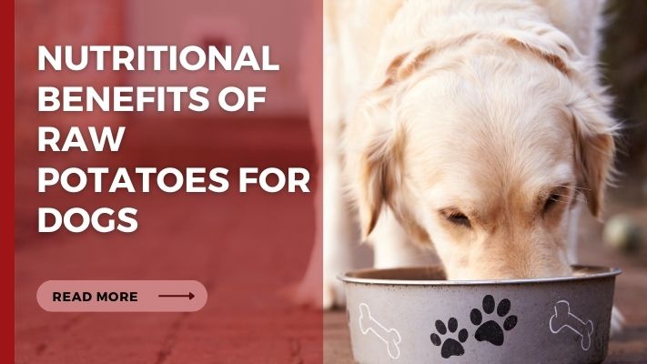 Nutritional Benefits of Raw Potatoes for Dogs