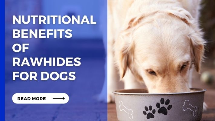 Nutritional Benefits of Rawhides for Dogs