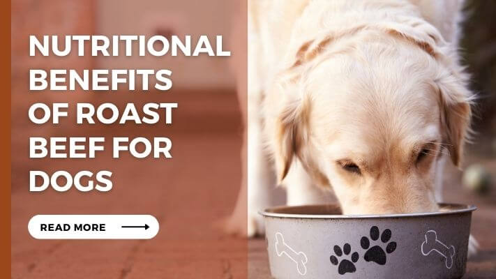 Nutritional Benefits of Roast Beef for Dogs