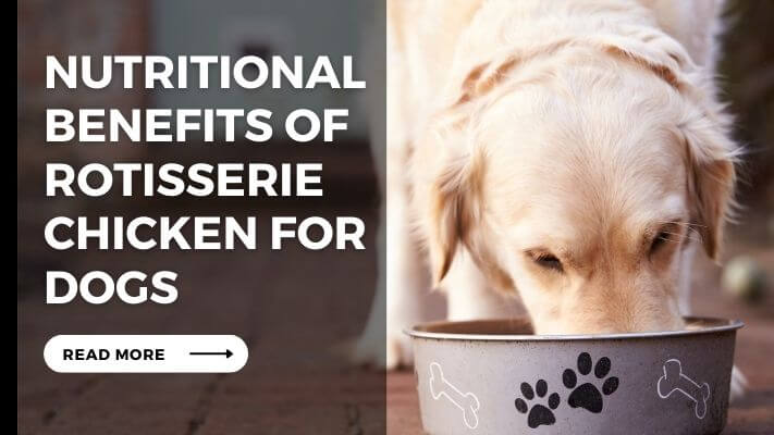 Nutritional Benefits of Rotisserie Chicken for Dogs