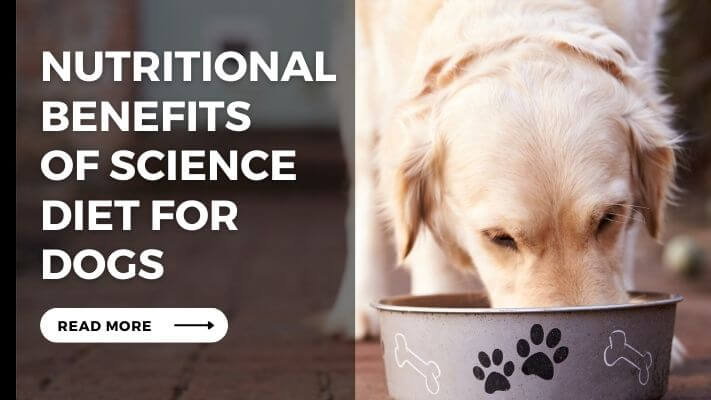 Nutritional Benefits of Science Diet for Dogs