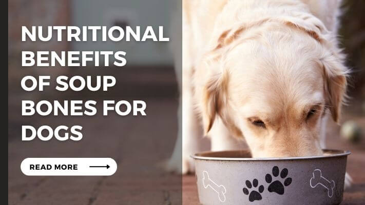 Nutritional Benefits of Soup Bones for Dogs