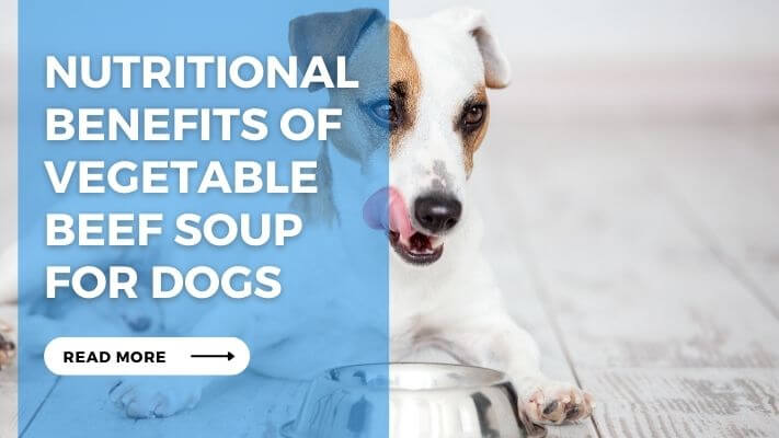 Nutritional Benefits of Vegetable Beef Soup for Dogs