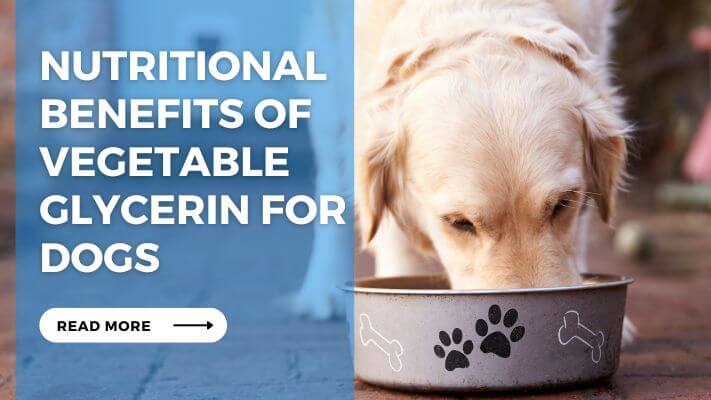 Nutritional Benefits of Vegetable Glycerin for Dogs