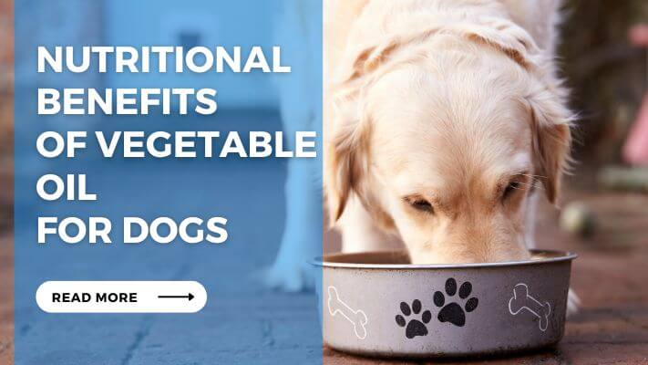 Nutritional Benefits of Vegetable Oil for Dogs