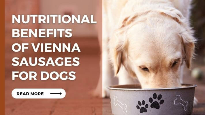 Nutritional Benefits of Vienna Sausages for Dogs