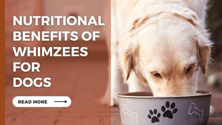 Nutritional Benefits of Whimzees for Dogs