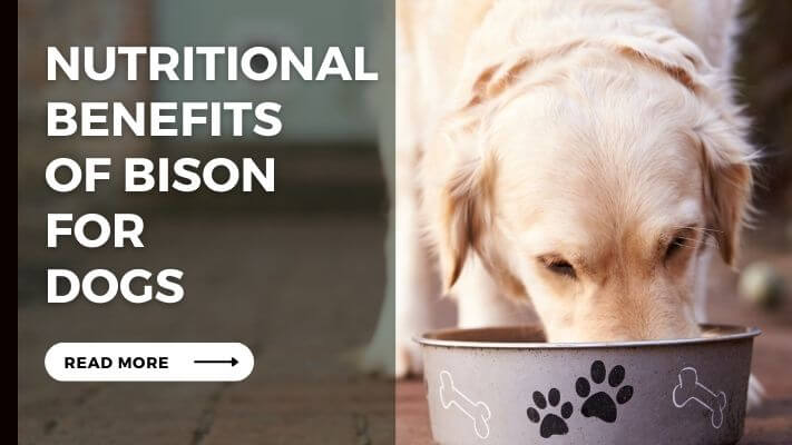 Nutritional Benefits of bison for Dogs